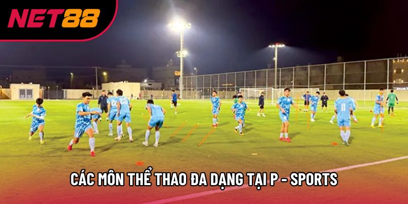 Các môn thể thao đa dạng tại P - sports
